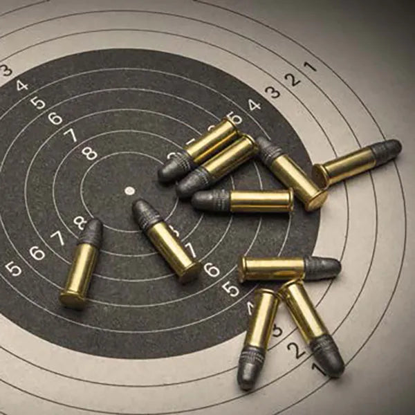 Magtech 22 LR 40GR LRN SV Copper Plated - 300 bullets per can image 1