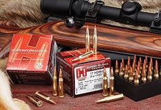 Hornady 17 Hornet 20 grain V-Max Superformance Varmint Ammo 25 rd image 0